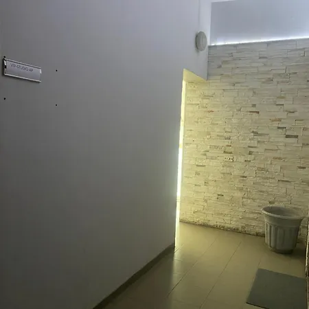 Vip Studio Apartament *